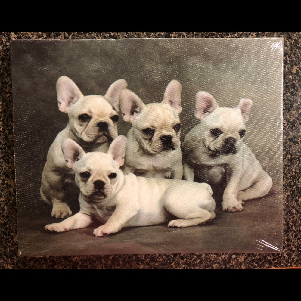 French Bulldog Canvas